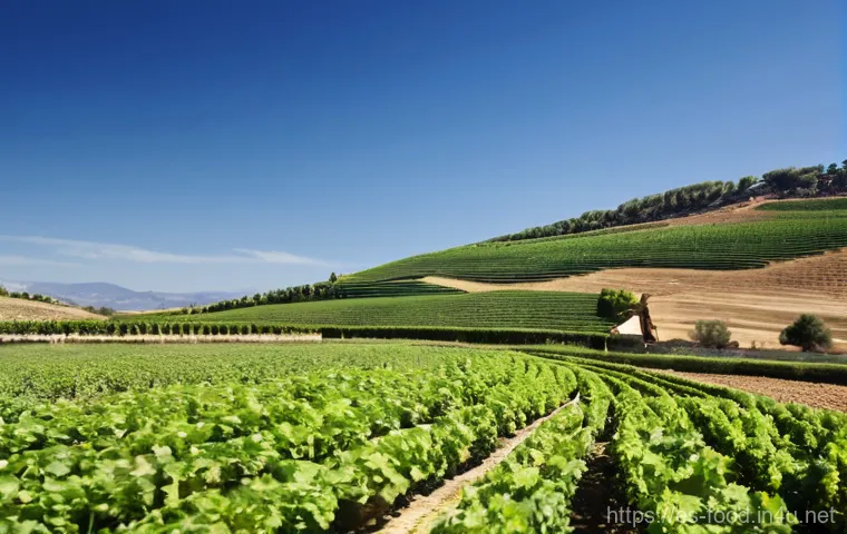 식자재 원산지 정보 확인 - **Prompt 2: Conscious Consumer Examining a Spanish Product Label**
    "A close-up shot of a person'...