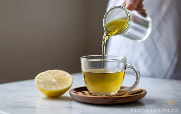 소화에 좋은 식자재 - The Colorful Plate of Digestive Wellness**

A high-angle, close-up shot of a meticulously arranged, ...