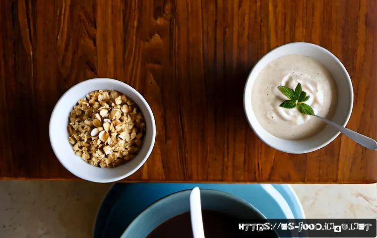 식사 대용 제품 추천 - Photorealistic overhead comparison scene of three convenient meal replacement options on a clean sun...